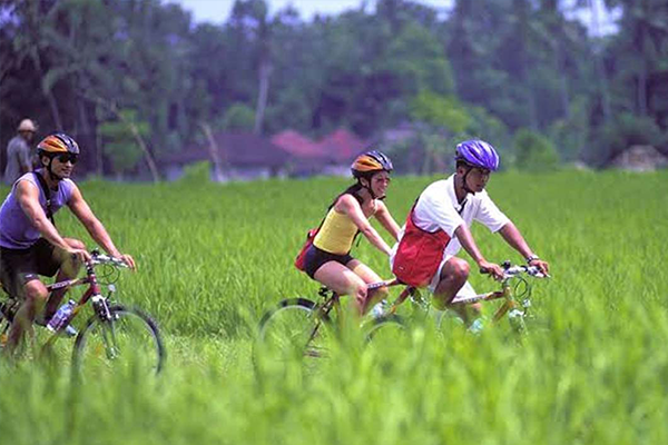 Bali-tur-operator-image