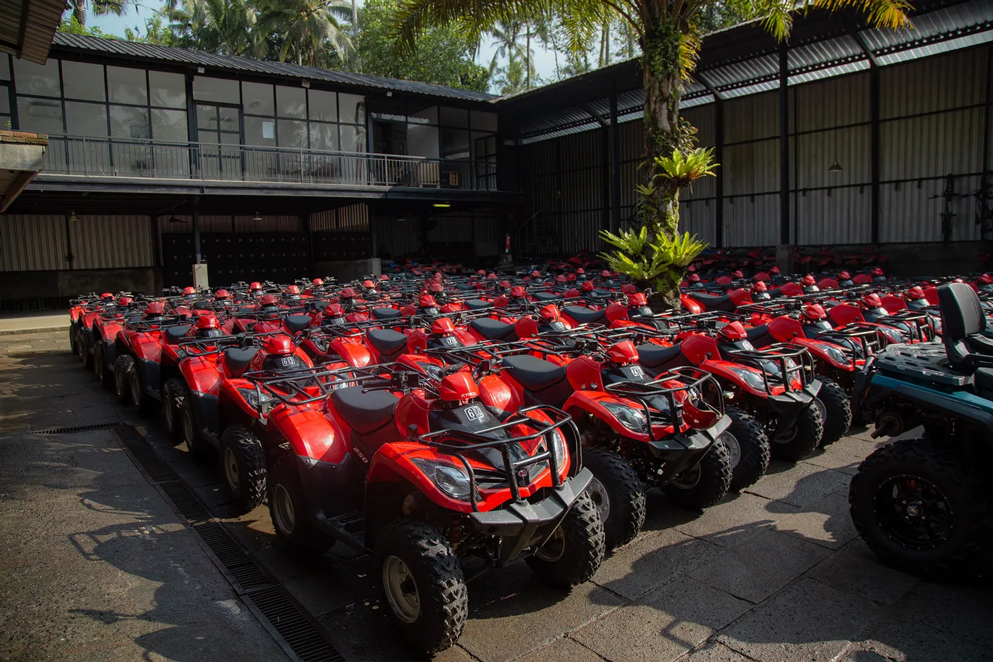 ed9c2ab6-4e25-4c02-9696-2e42d415ffb8-1718787258212-e9ef87b6616c50aafaa06a625091a546